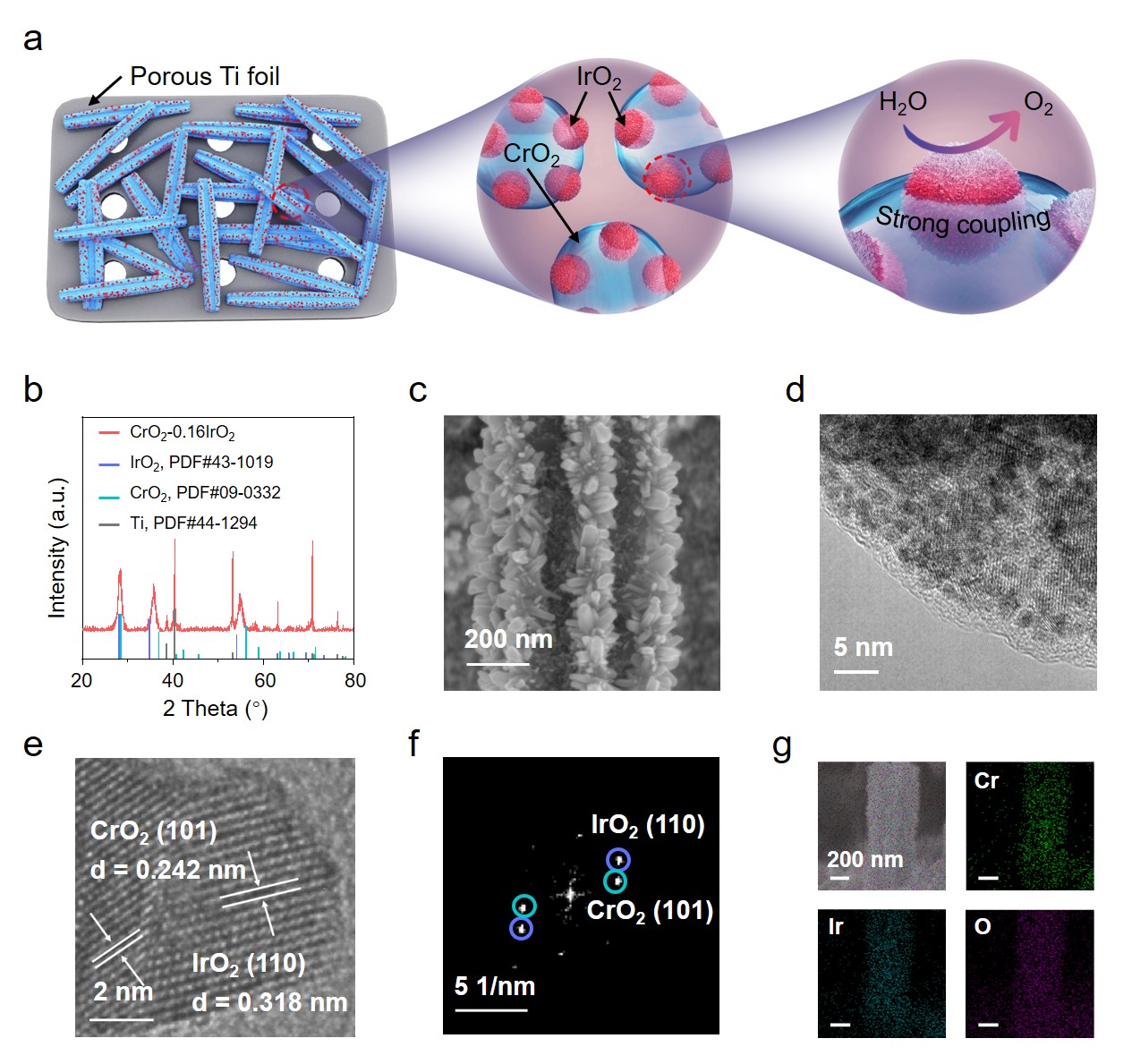20230621-图1设计思路及表征-刘碧录团队-国际研究生院.jpg undefined
