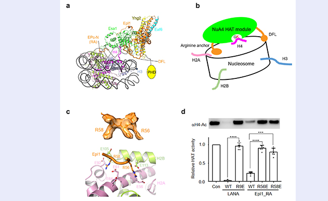 空白背景new1 - 副本 (3).jpg