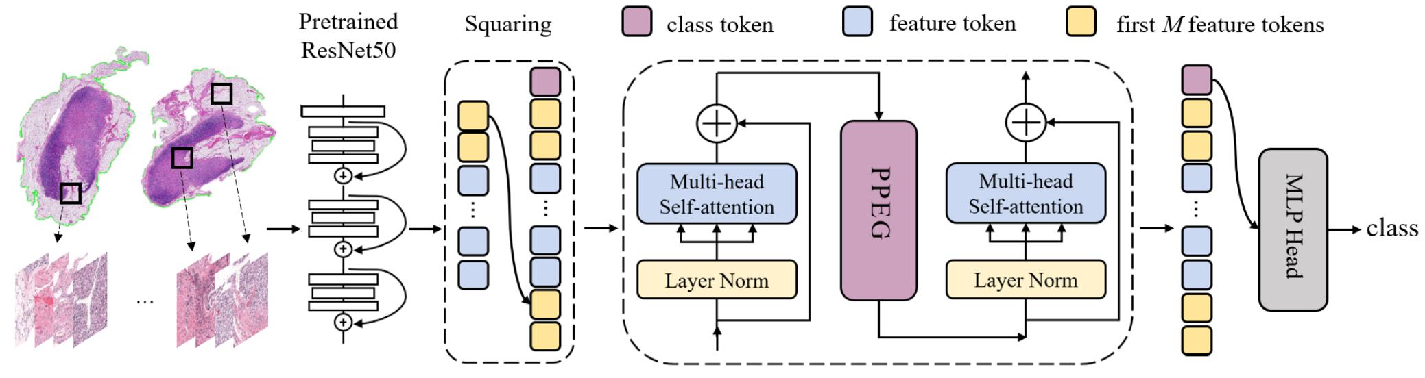 20211021-深圳国际研究生院多篇论文入选NeurIPS 2021-国际研究生院-方法框架1.png