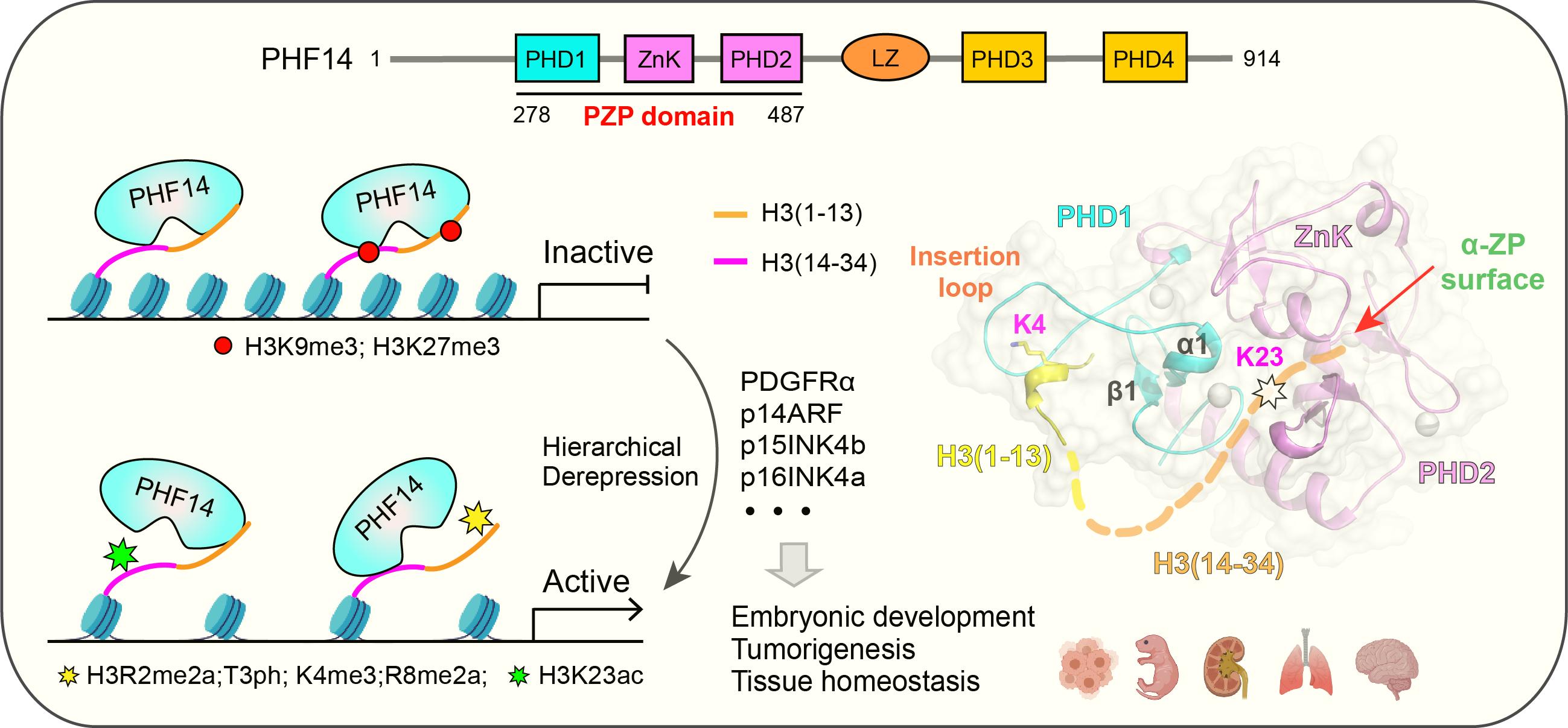 微信图片_20210915140225.png 微信图片_20210915140225.png