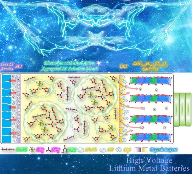 20211130-李宝华团队发文-王树贤-双阴离子聚集.jpg 20211130-李宝华团队发文-王树贤-双阴离子聚集.jpg