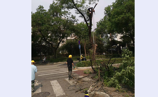 空白背景new - 副本.jpg