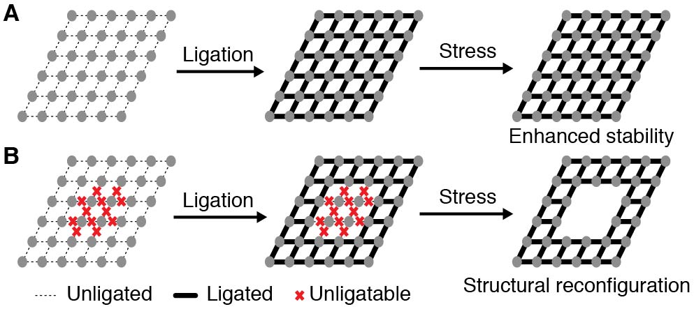 20220727-魏迪明-论文-成果照片1.jpg 20220727-魏迪明-论文-成果照片1.jpg