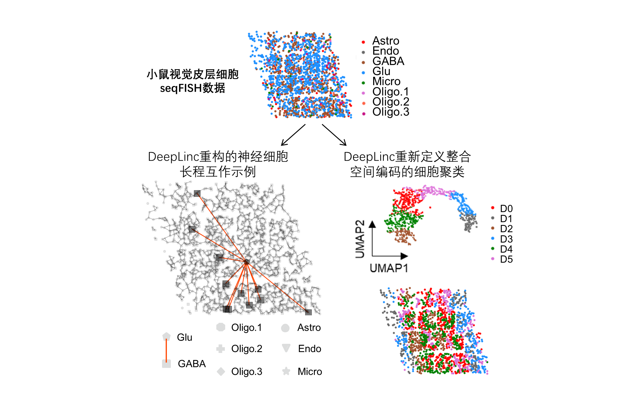 20220603-论文-杨雪瑞-成果图2png 20220603-论文-杨雪瑞-成果图2png