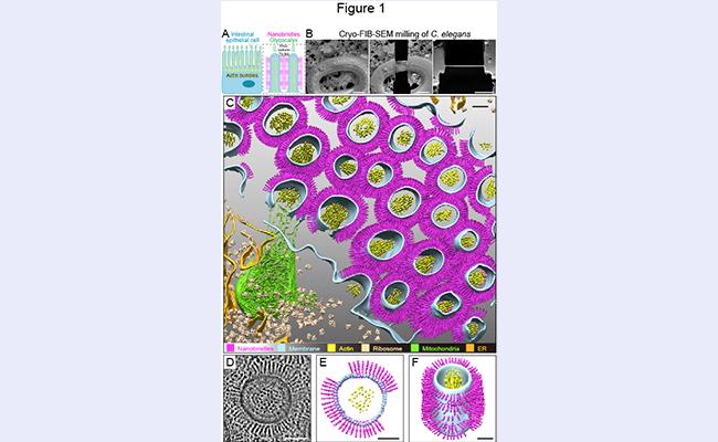 空白背景1new - 副本.jpg