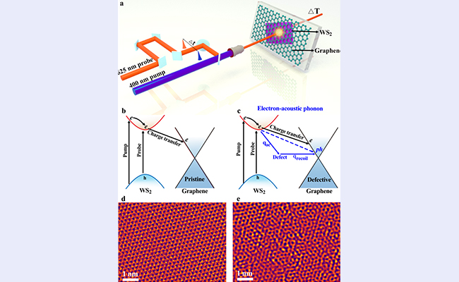 空白背景new .jpg