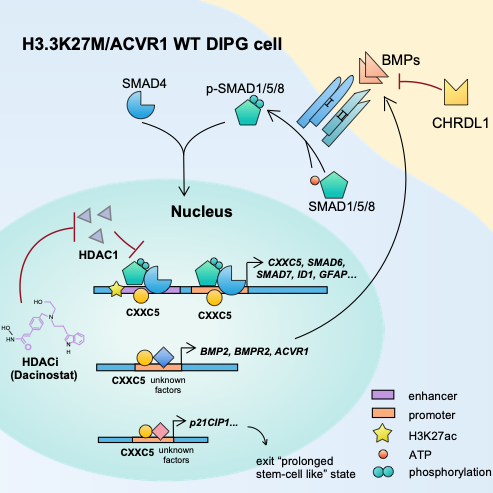 20220801-论文-郗乔然-成果照片1.png 20220801-论文-郗乔然-成果照片1.png