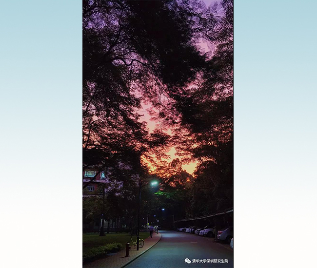 3333121 - 副本.jpg